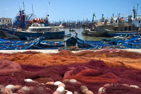 La Moncloa. 20/10/2016. La Comisión Mixta del Acuerdo Pesquero UE-Marruecos acuerda simplificar las obligaciones relativas al desembarco obligatorio [Prensa/Actualidad/Agricultura, Alimentación y Medio Ambiente]