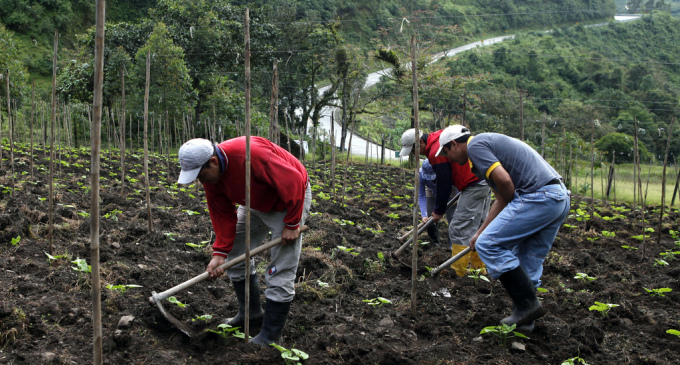 Proyecto ‘Minka Sumak Kawsay’ se aplica en 30 comunidades rurales de Chimborazo