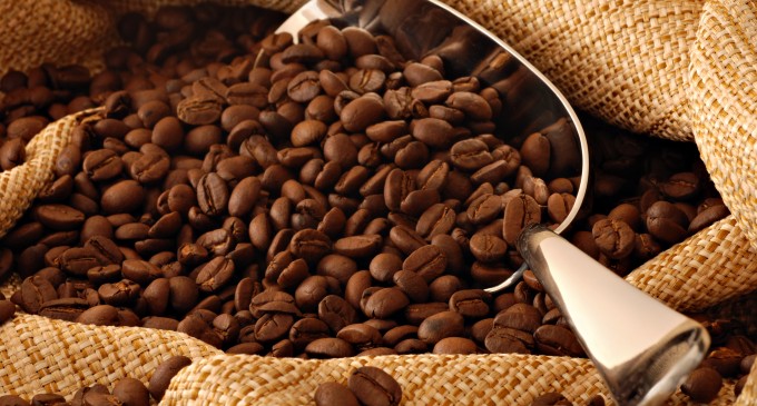 El concurso ‘Taza Dorada’ buscará a los mejores cafés ecuatorianos