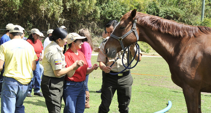 La Unidad de Equitación y Remonta inauguró jornadas de equinoterapia en Cuenca