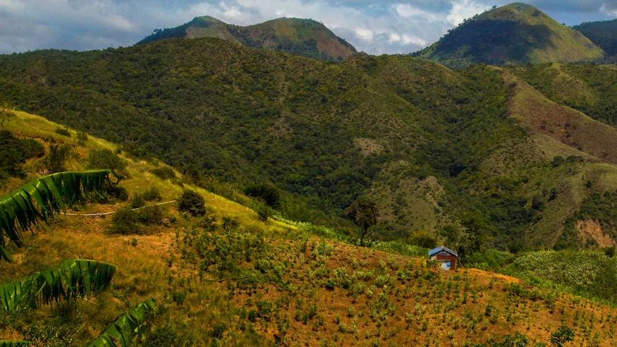 REPÚBLICA DOMINICANA: Sacando comida de Monte Bonito (VIDEO)