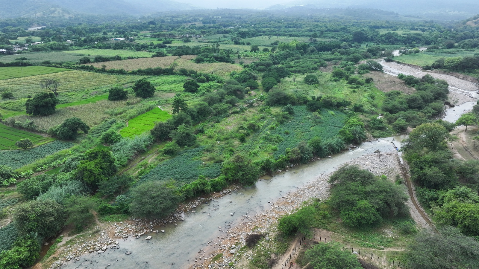 Se inicia primera obra para manejo integral del río Piura en El Faique: defensas ribereñas protegerán a más de 500 habitantes